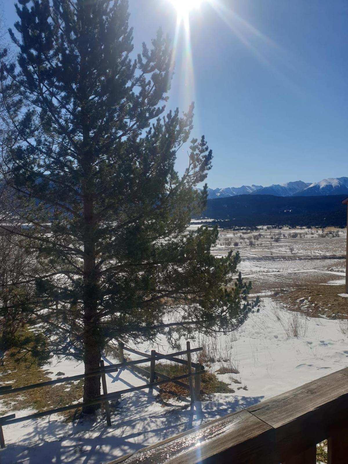 Appartement Entre Faune, Et Montagne *