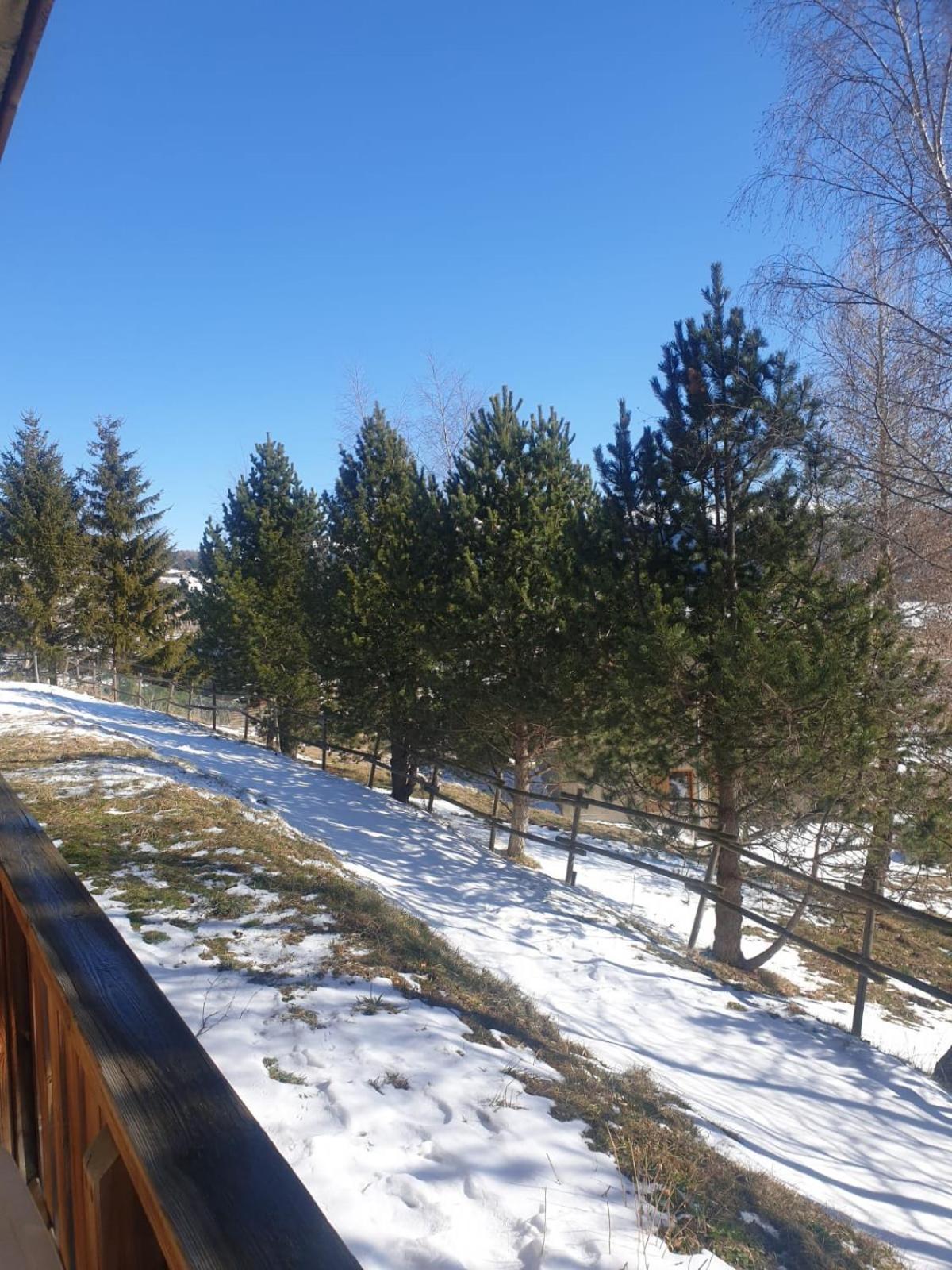Entre Faune, Et Montagne * Les Angles (Pyrenees-Orientales)